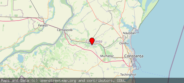 905600 Medgidia, România