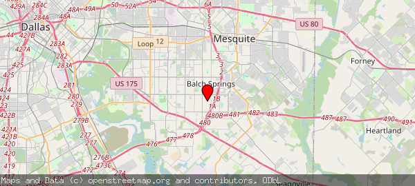 3117 Hickory Tree Rd, Balch Springs, TX 75180, USA