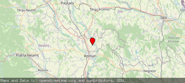 617465 Tămășeni, România