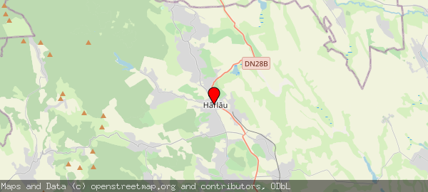 Strada Ștefan cel Mare și Sfânt 1, 705100 Hârlău, România